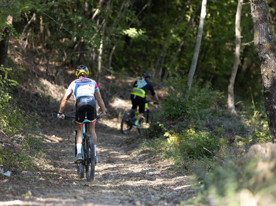 Cyclists on a mountain trail among the trees.