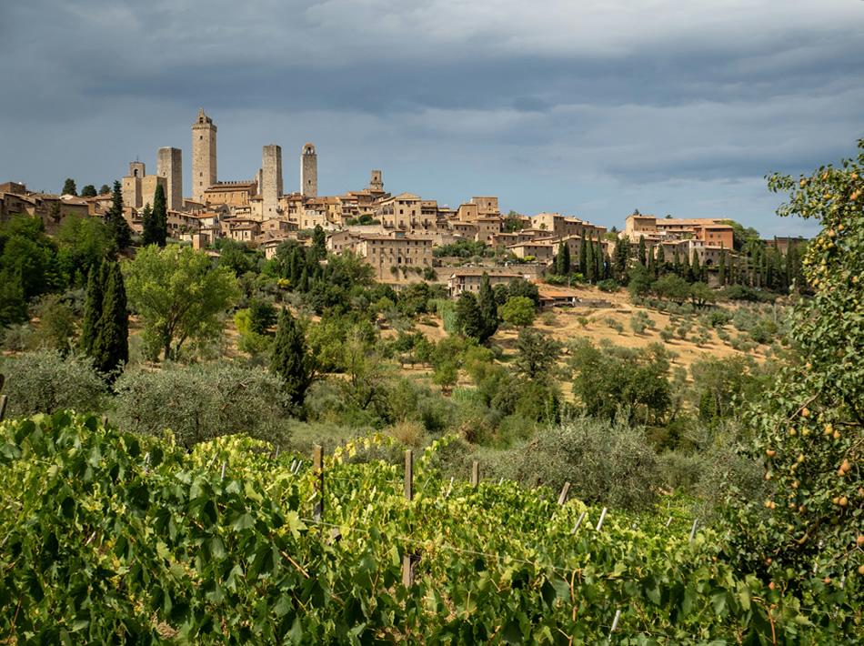 Panorama di una città medievale con torri e vigneti.